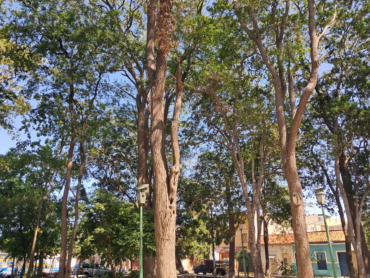 plaza Bermúdez (13).jpeg
