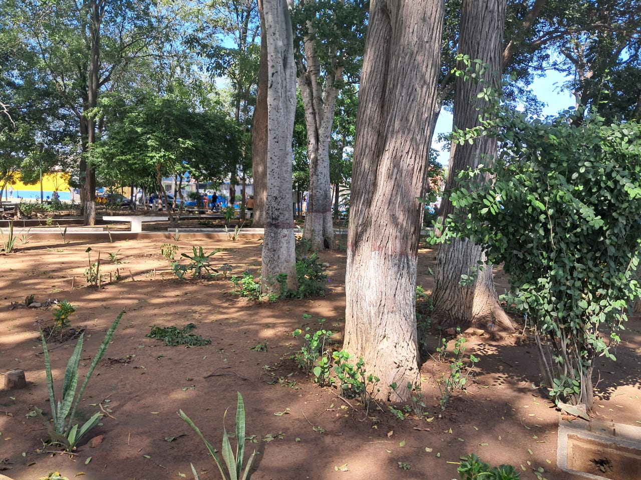plaza Bermúdez (5).jpeg