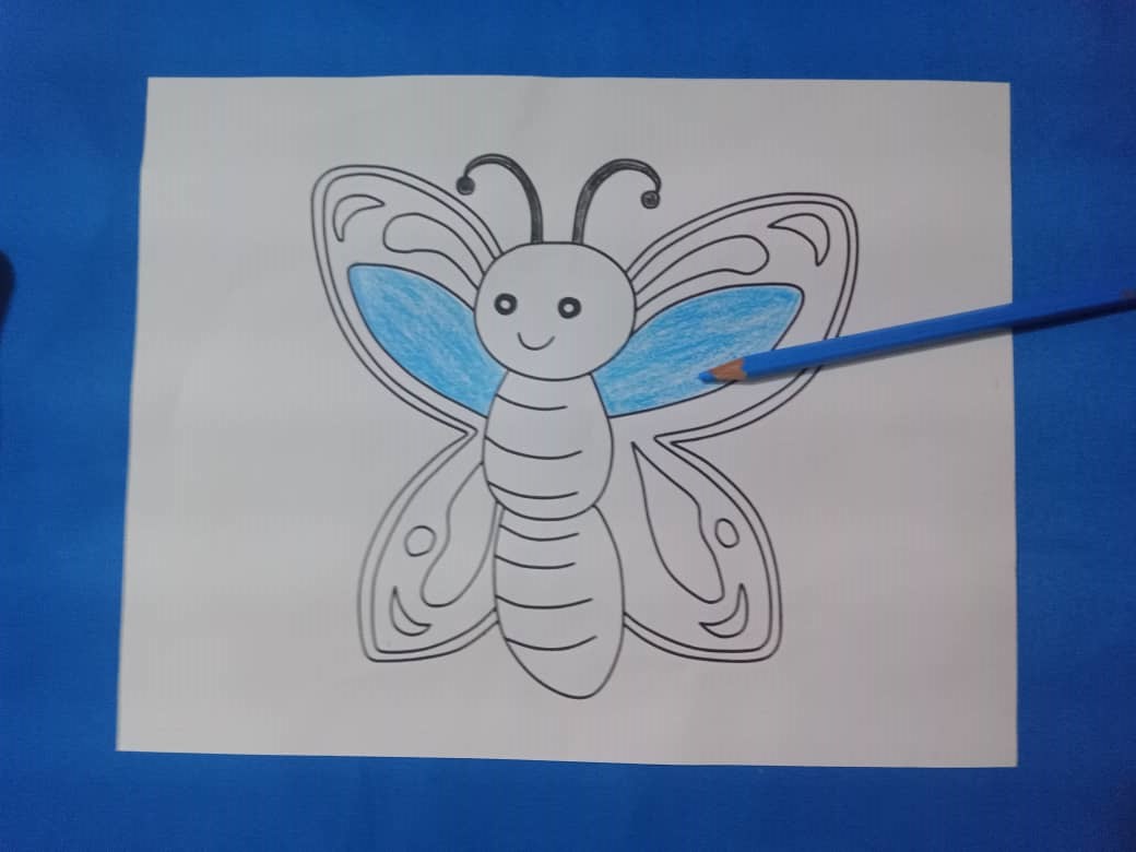MARIPOSA (2).jpeg