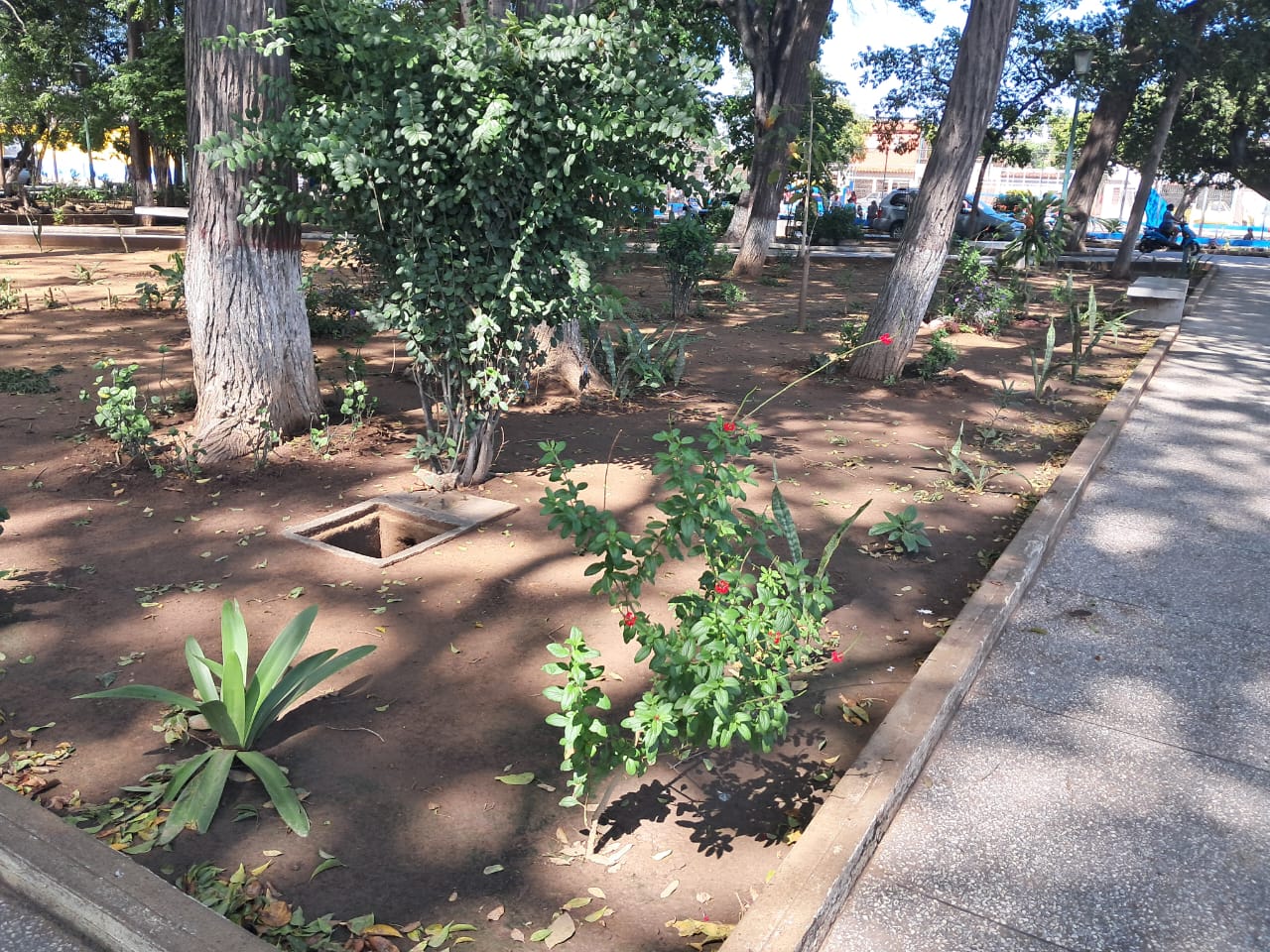 plaza Bermúdez (2).jpeg