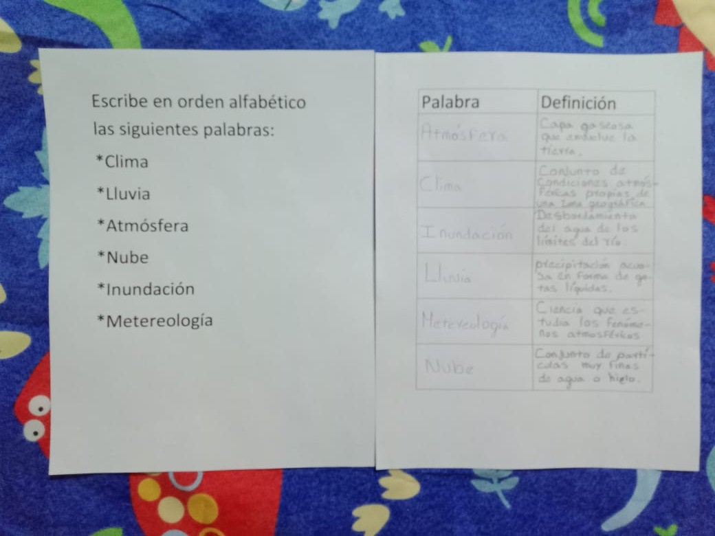 DICCIONARIO (4).jpeg