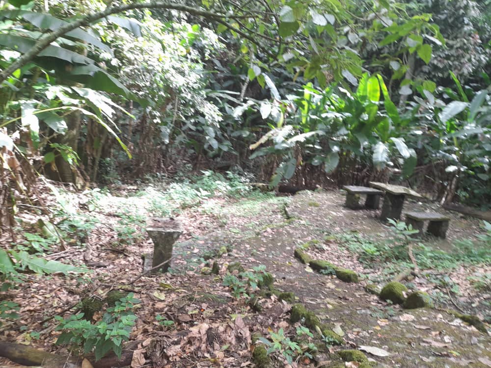 salto la páila (7).jpeg