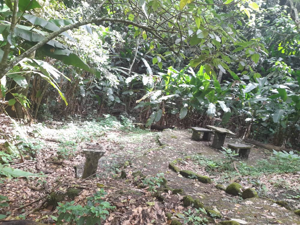 salto la páila (8).jpeg