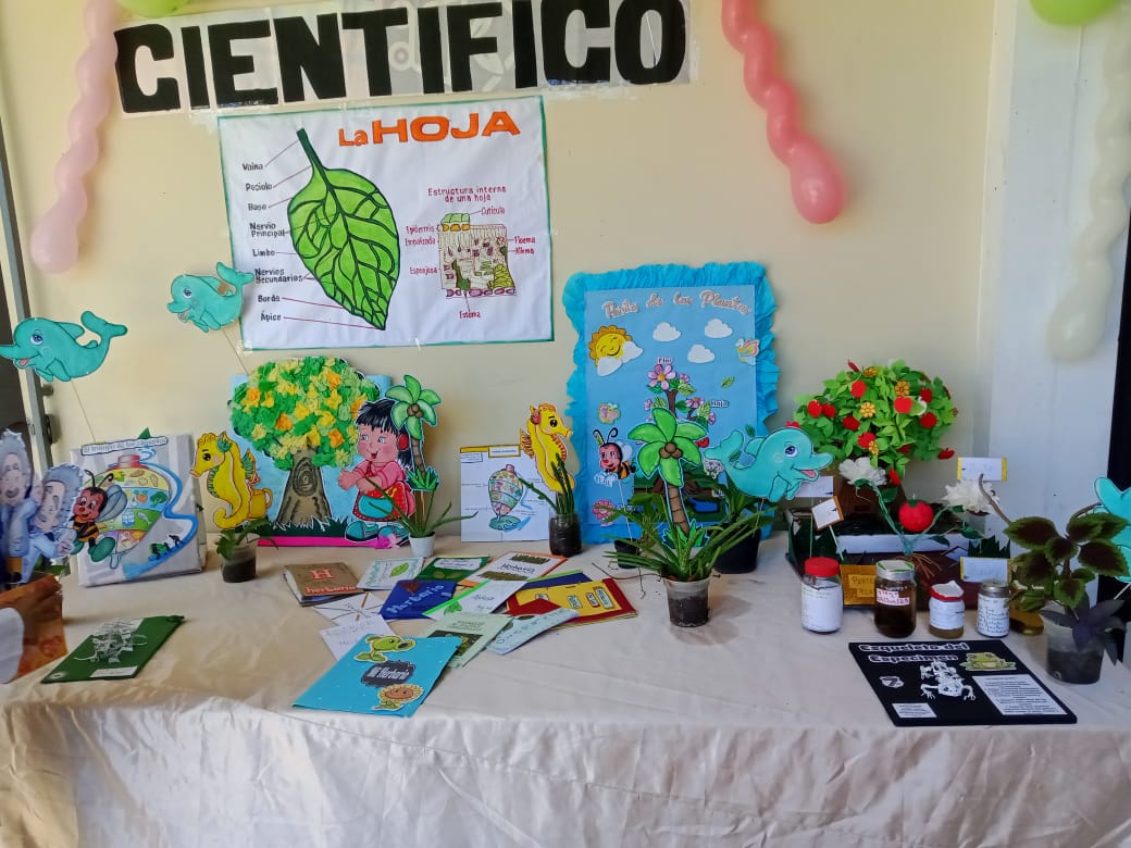 pas. cientif (2).jpeg