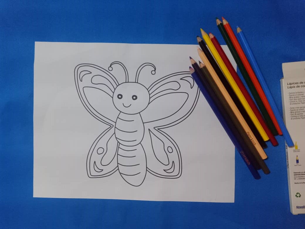 MARIPOSA (9).jpeg