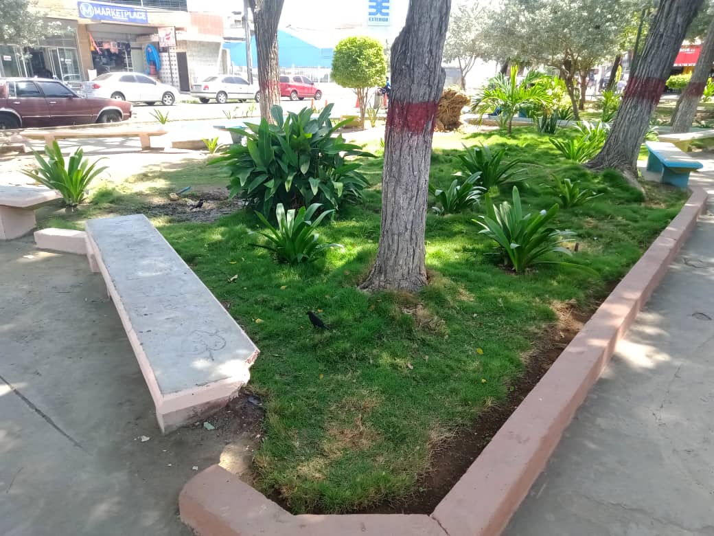 plaza (18).jpeg
