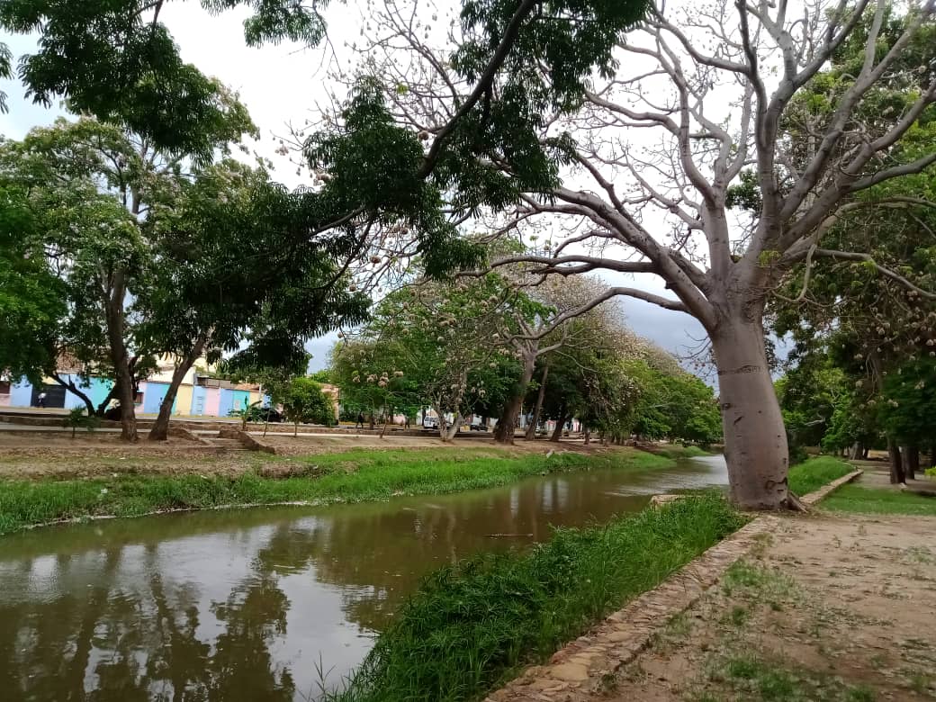parque (1).jpeg