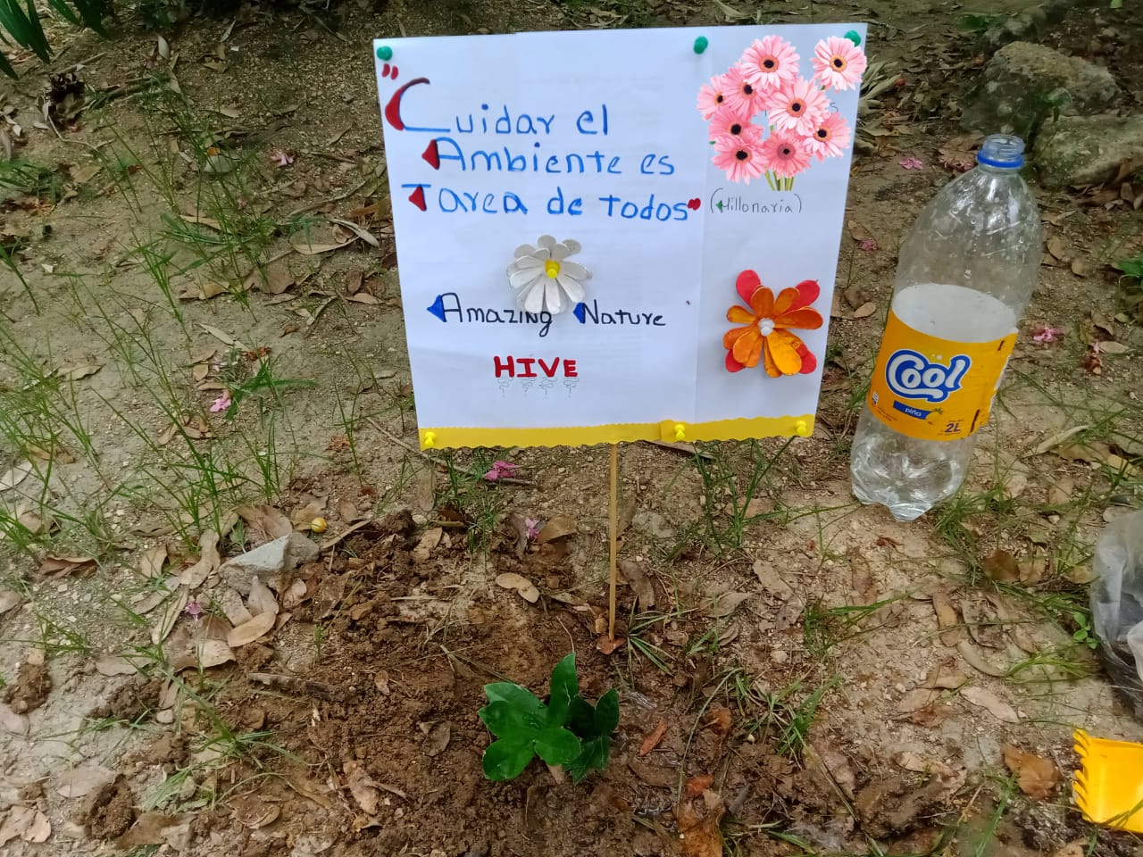 plant a tree (7).jpeg
