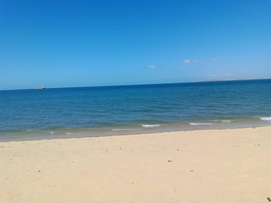 cangrejo azul (9).jpeg