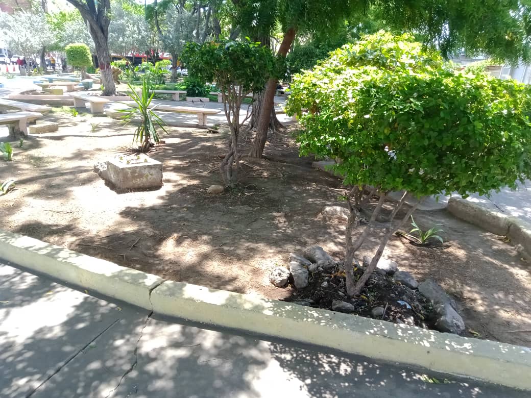 plaza (2).jpeg
