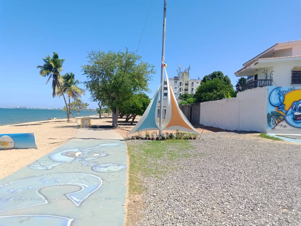 cangrejo azul (18).jpeg