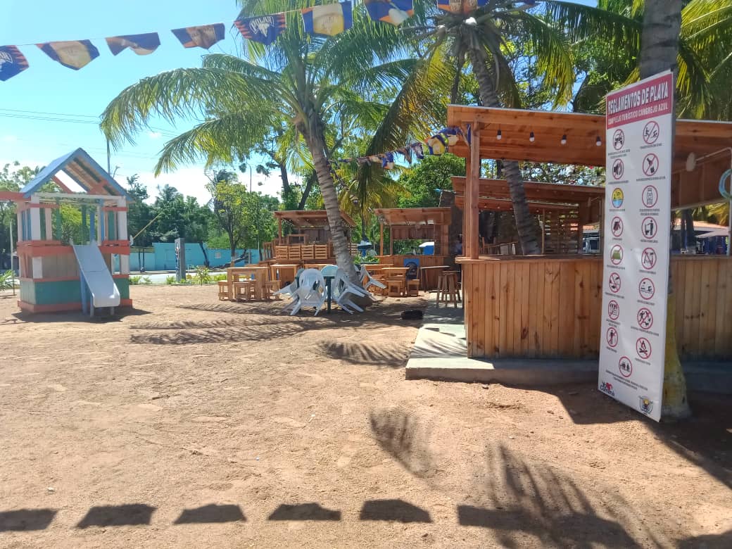 cangrejo azul (25).jpeg