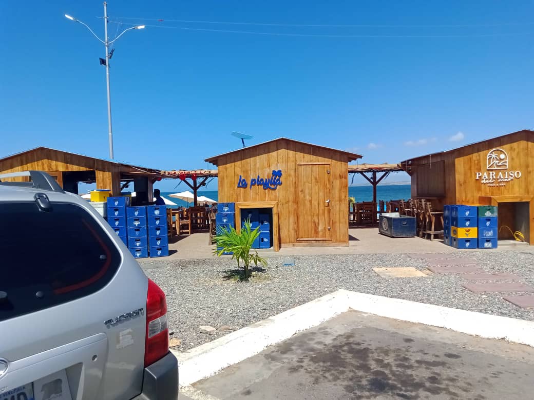 cangrejo azul (15).jpeg