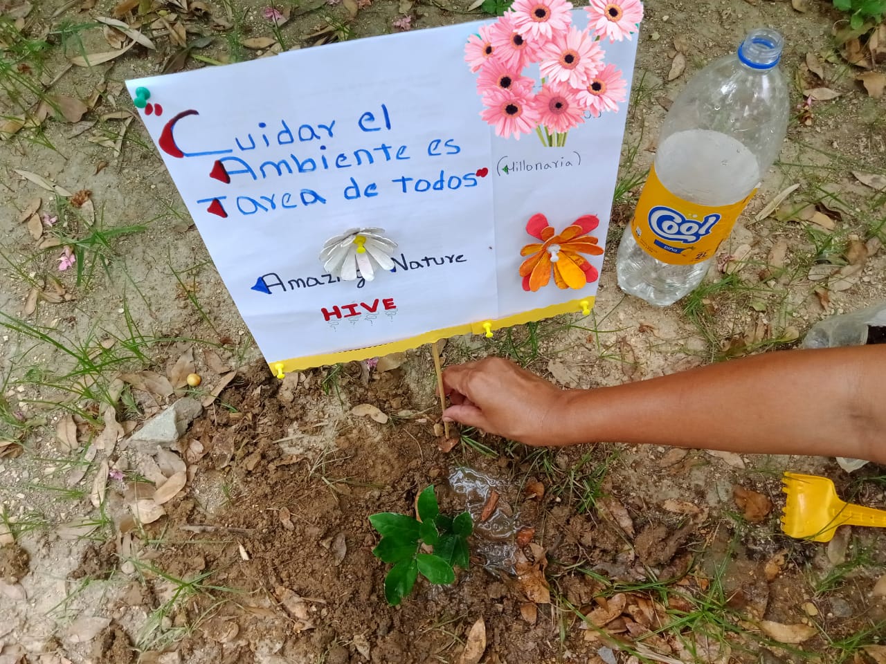 plant a tree (8).jpeg