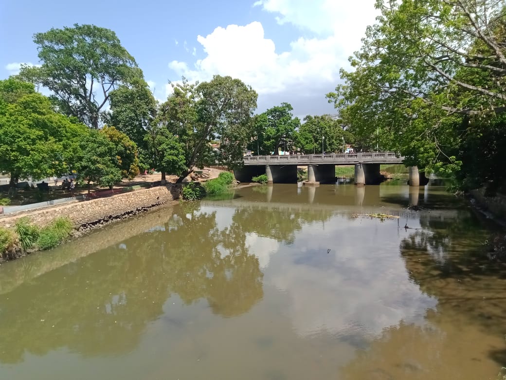 parque A (11).jpeg