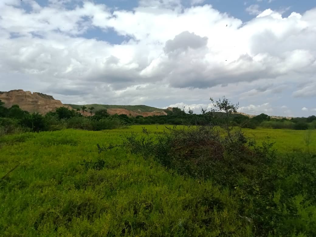 paseo cerro (27).jpeg