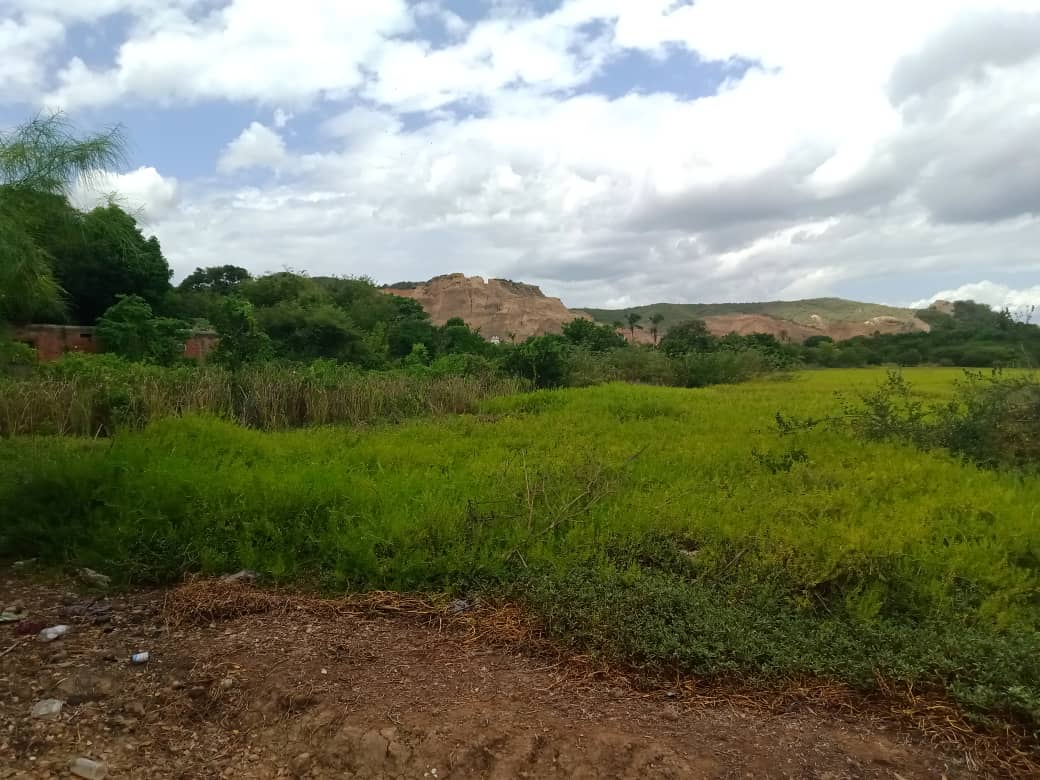 paseo cerro (25).jpeg