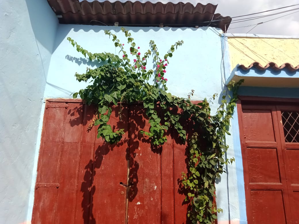 ciudad mural (27).jpeg
