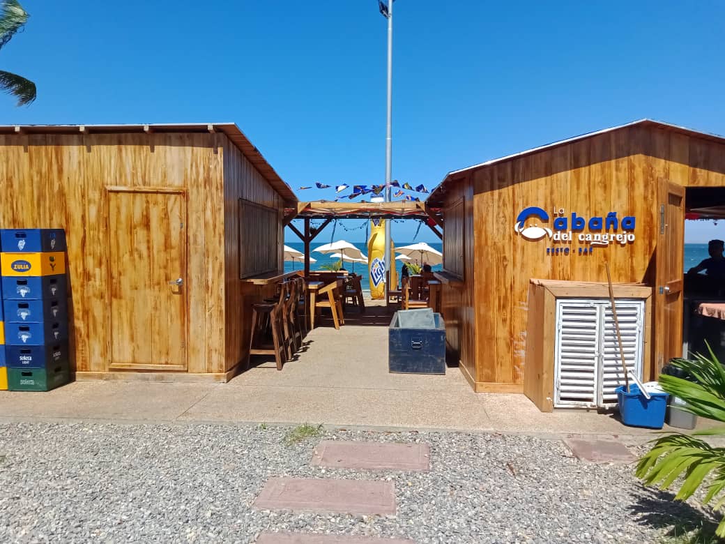 cangrejo azul (11).jpeg