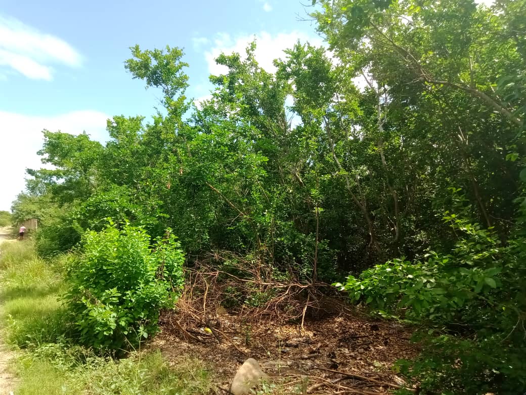 paseo cerro (9).jpeg