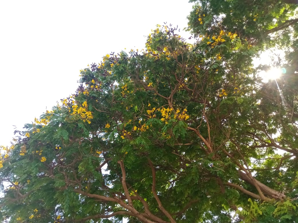 parque A (23).jpeg