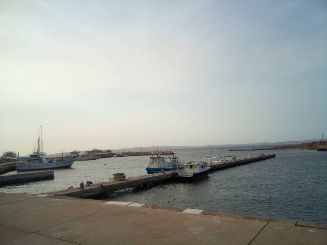 muelle (2).jpeg