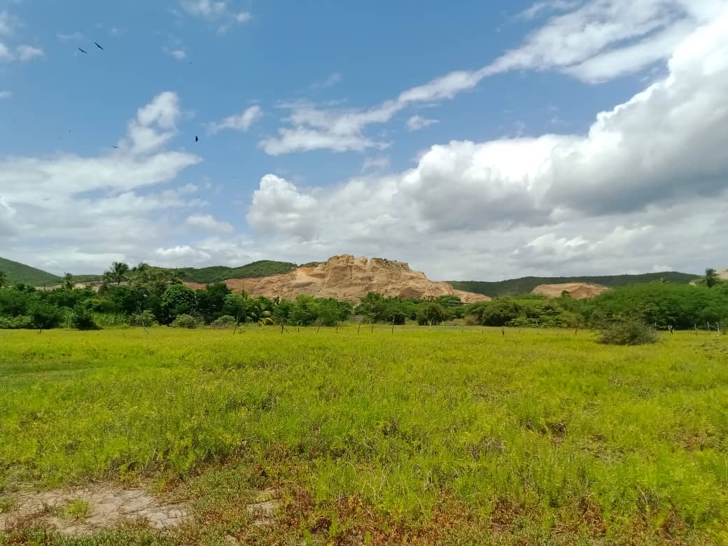paseo cerro (15).jpeg