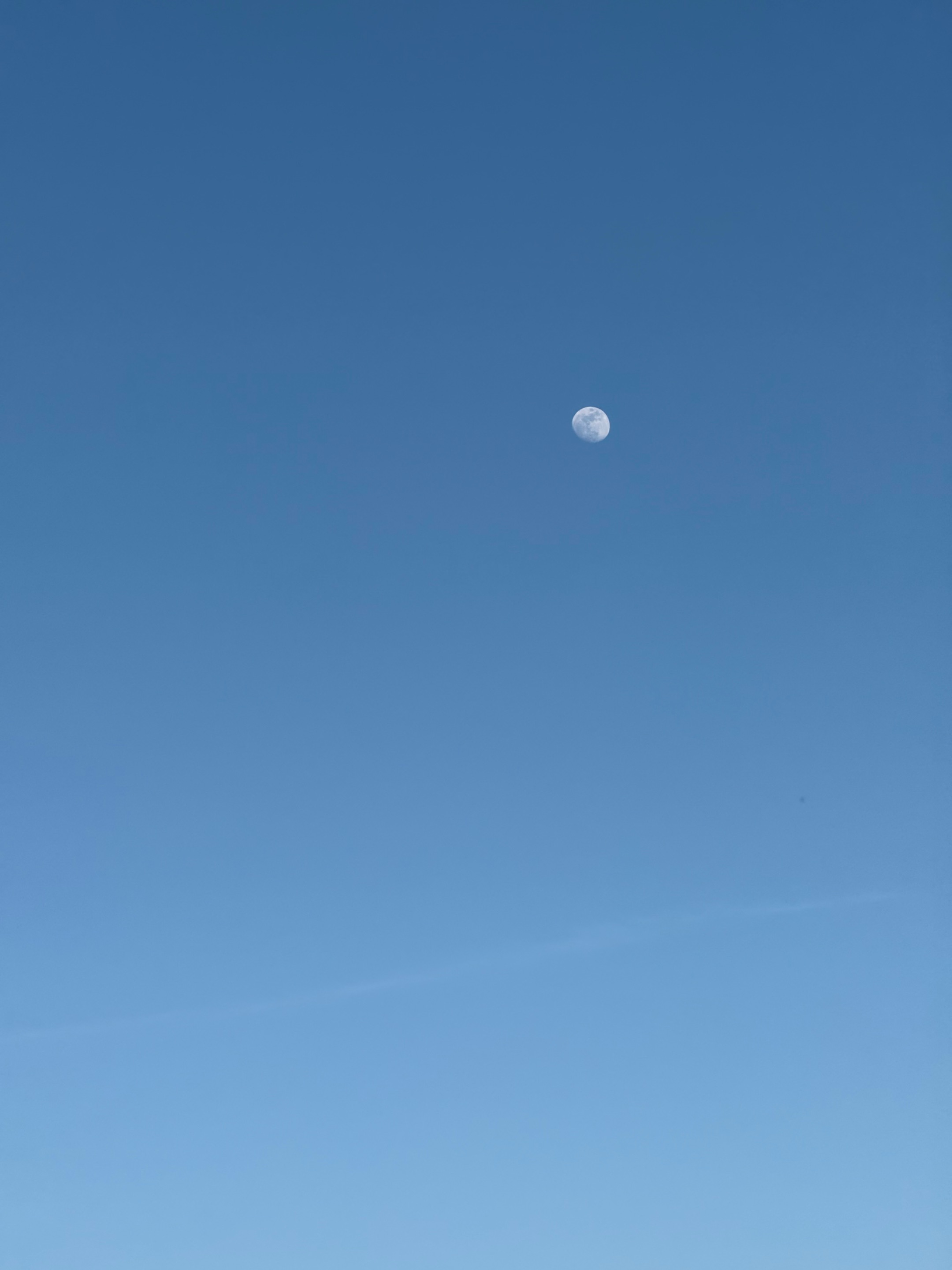 IMG_9606.jpeg