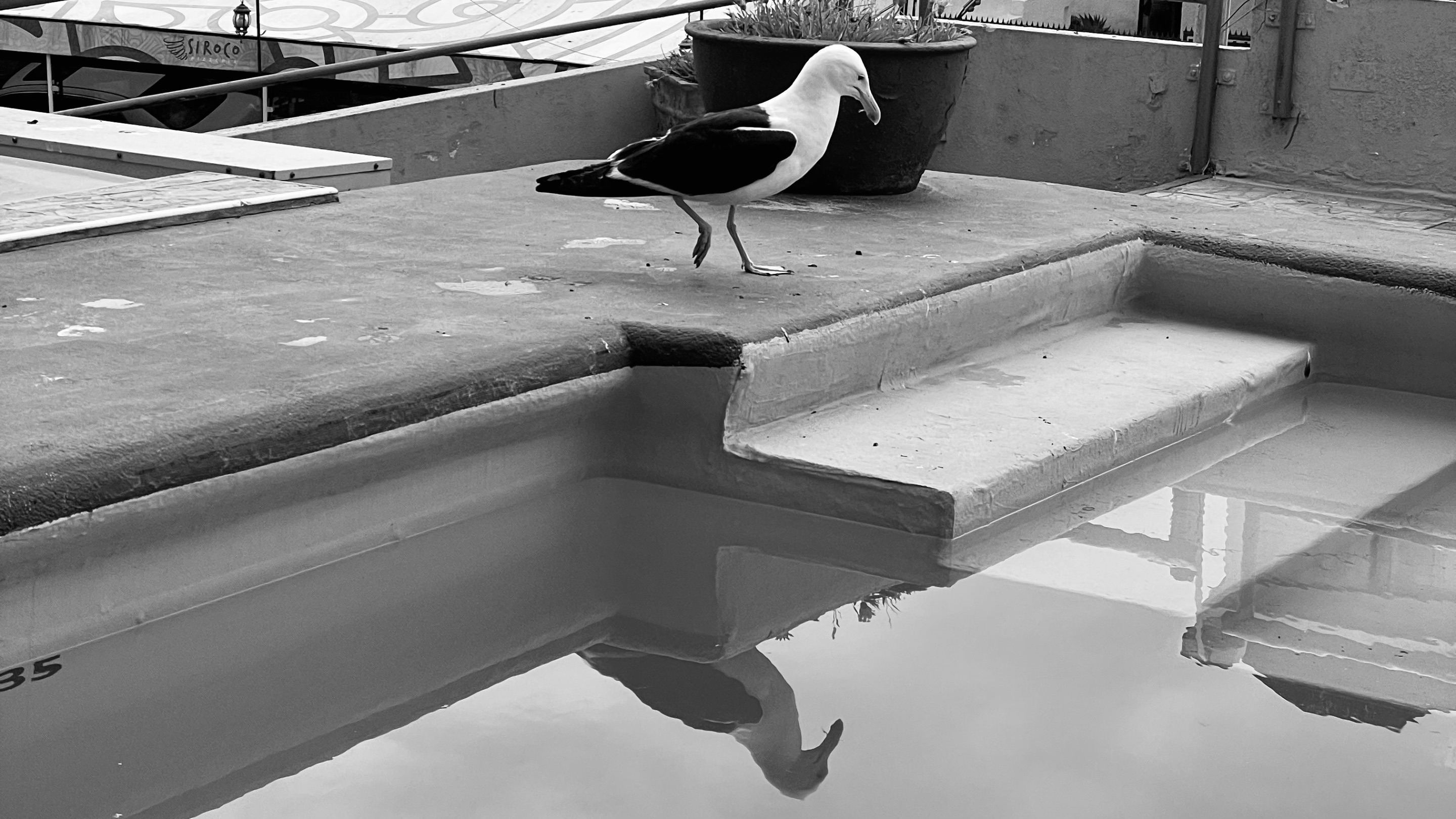 C9A1BC04-E2EB-4070-A97B-4B9031F6BFD7.jpeg