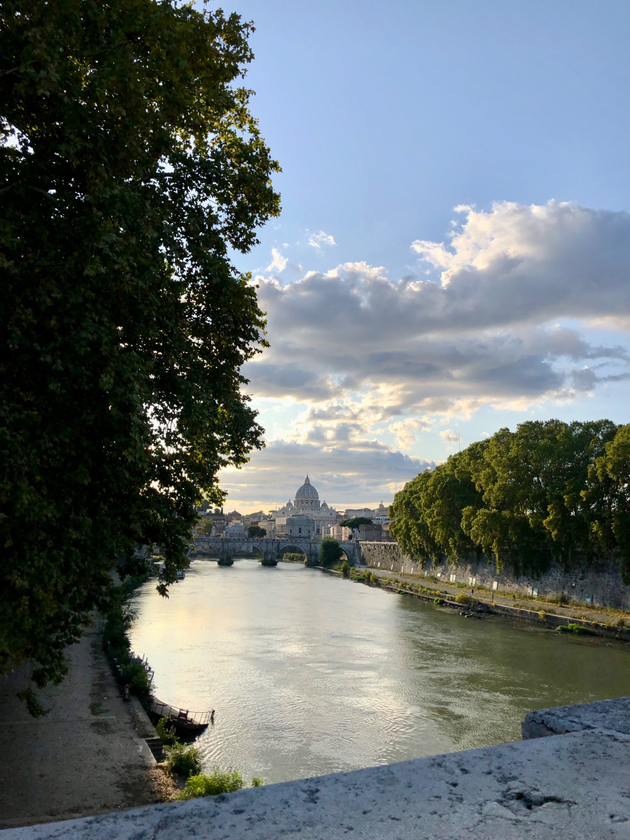 IMG_2960.jpeg