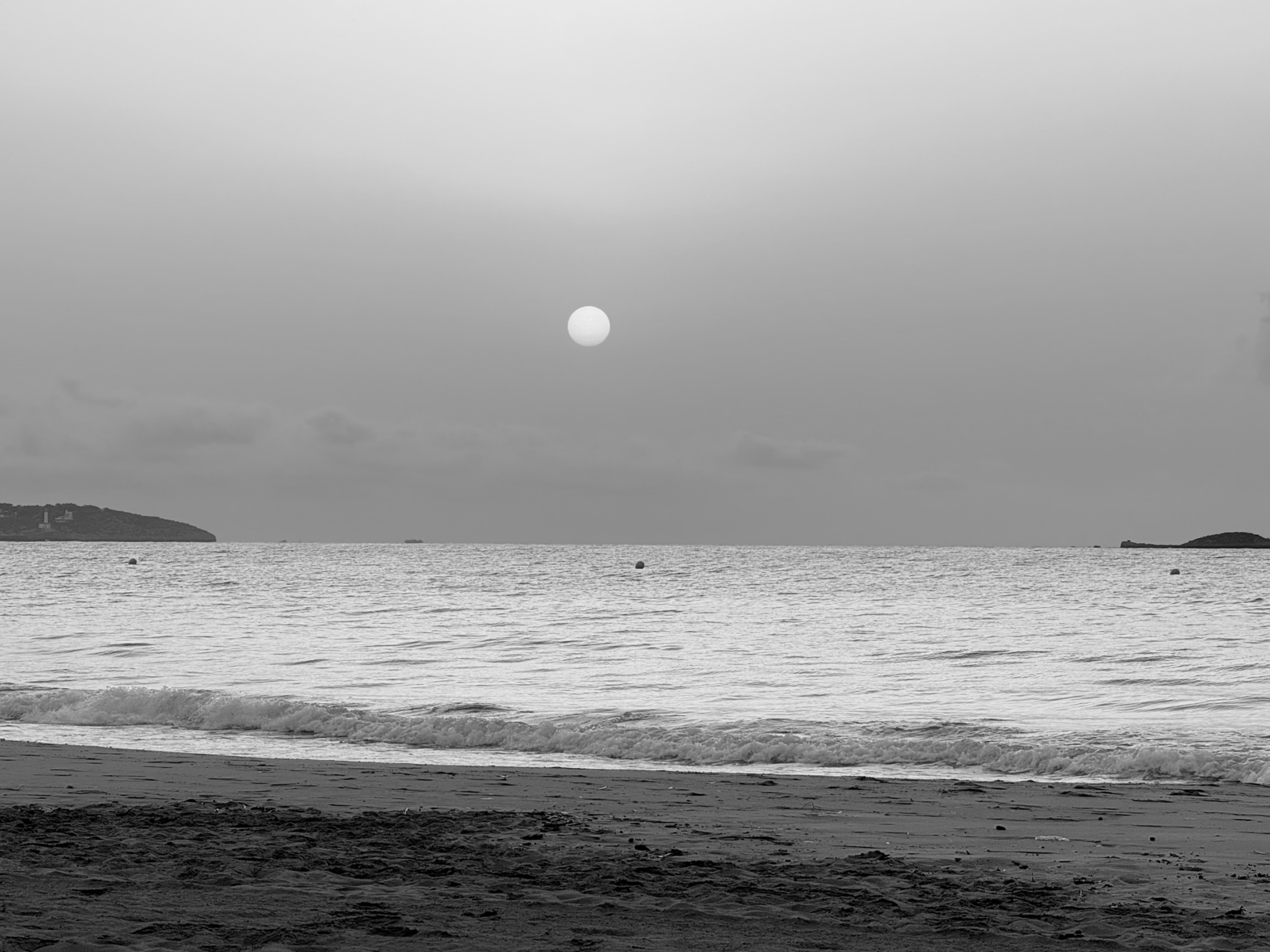 IMG_2765.jpeg