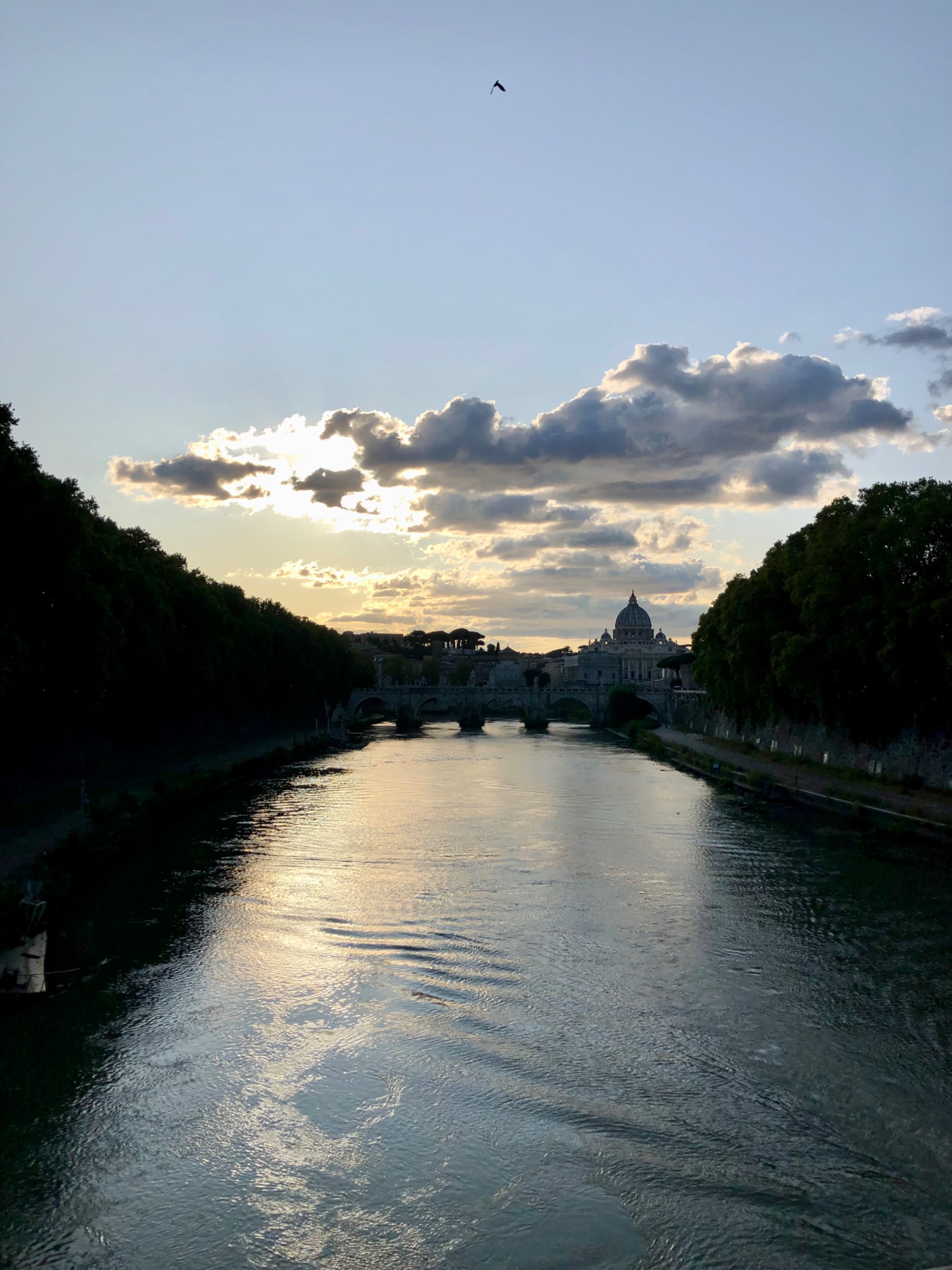 IMG_3023.jpeg