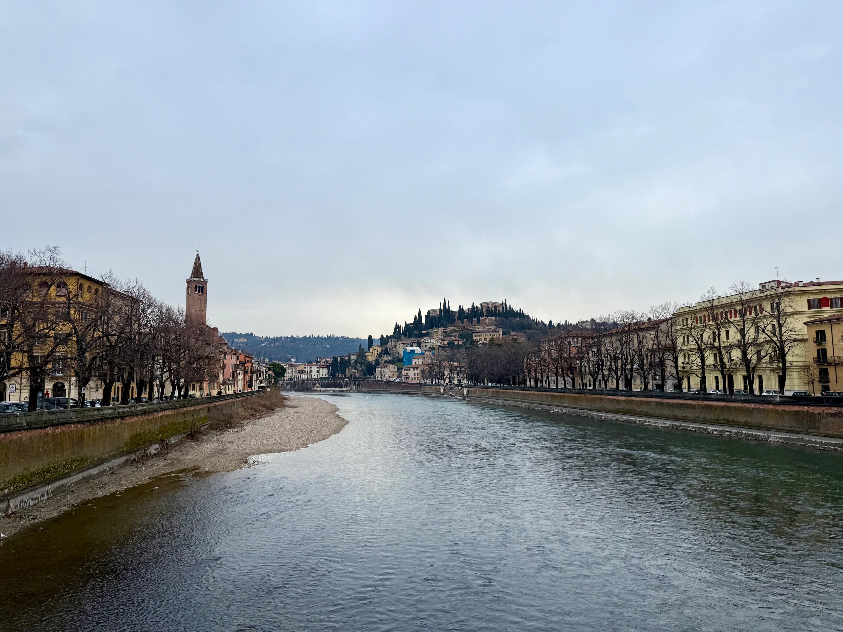 IMG_3779.jpeg
