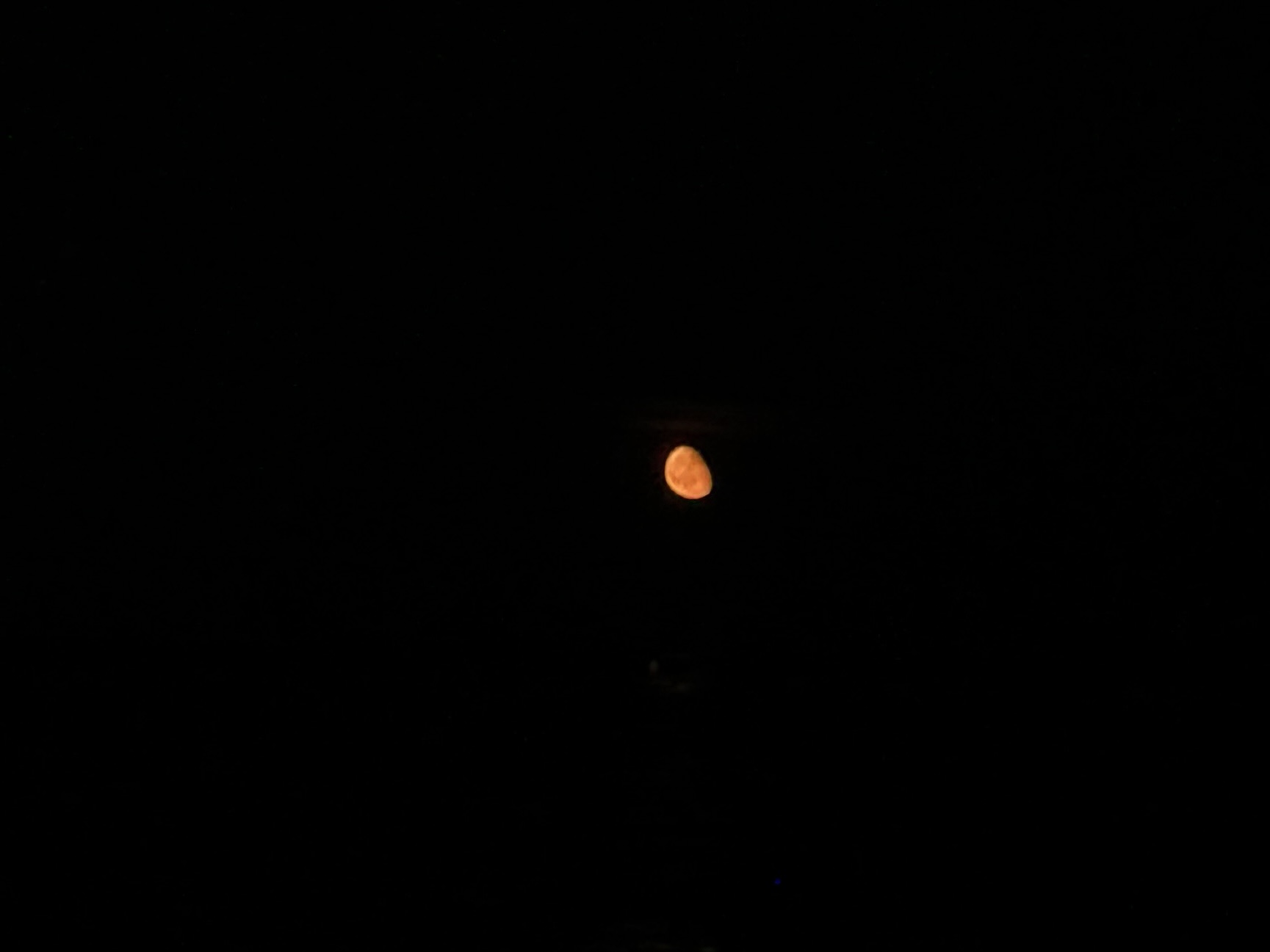 IMG_4584.jpeg