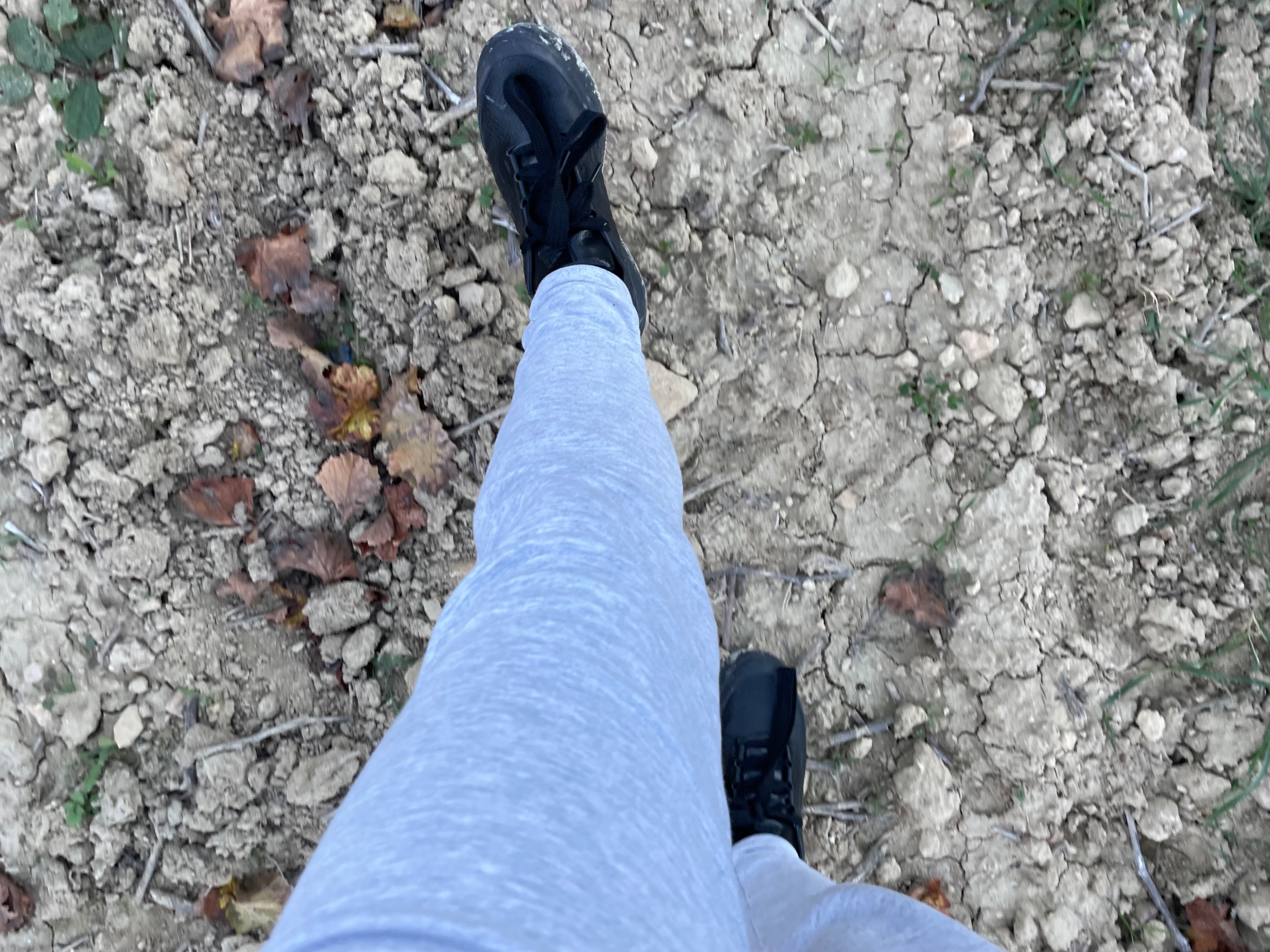 IMG_7735.jpeg