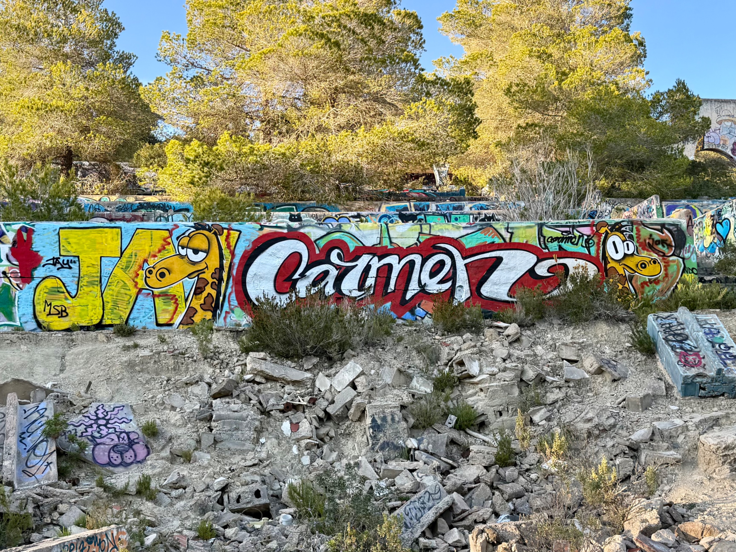 IMG_9562.jpeg