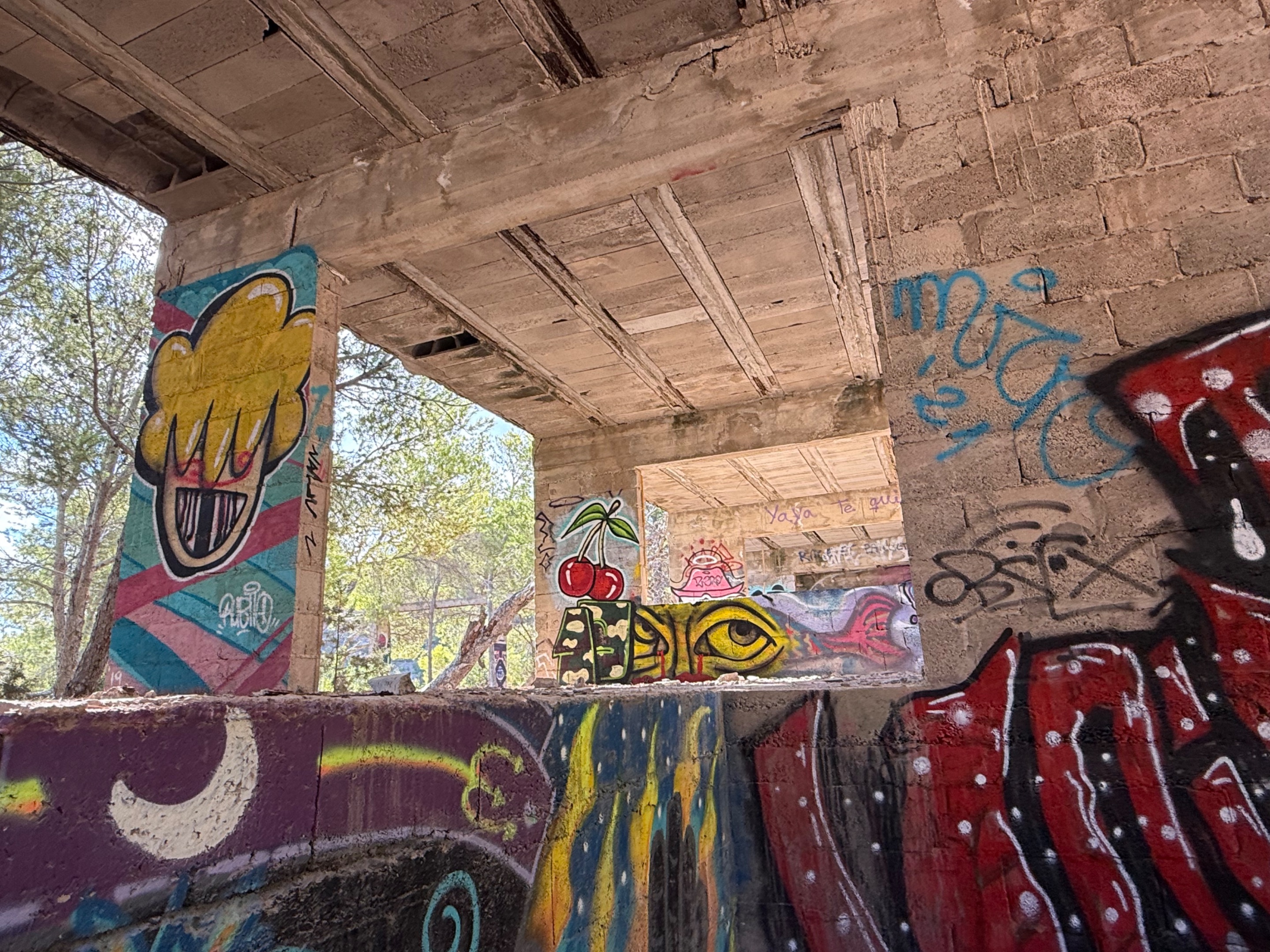 IMG_6234.jpeg