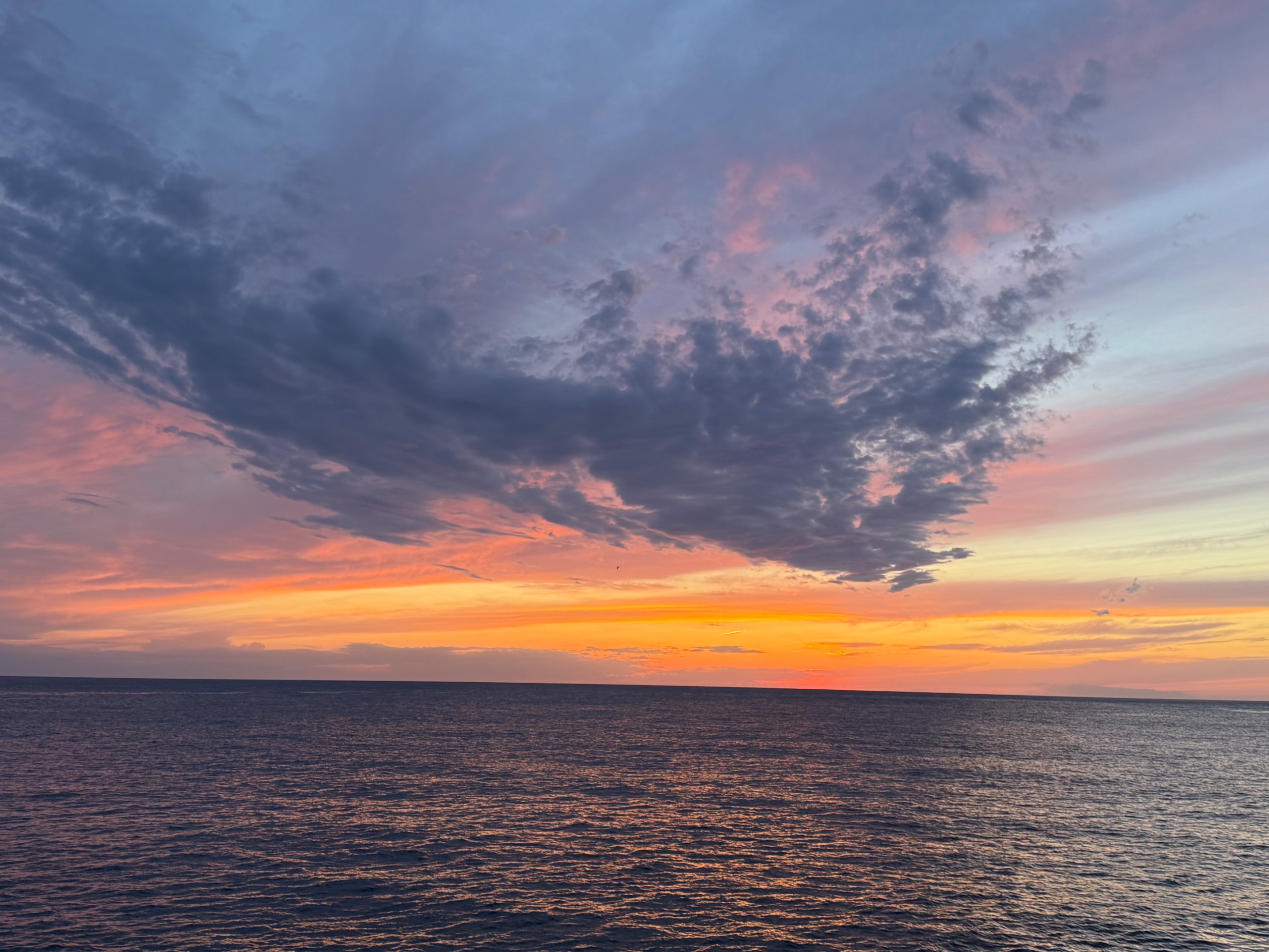 IMG_0400.jpeg