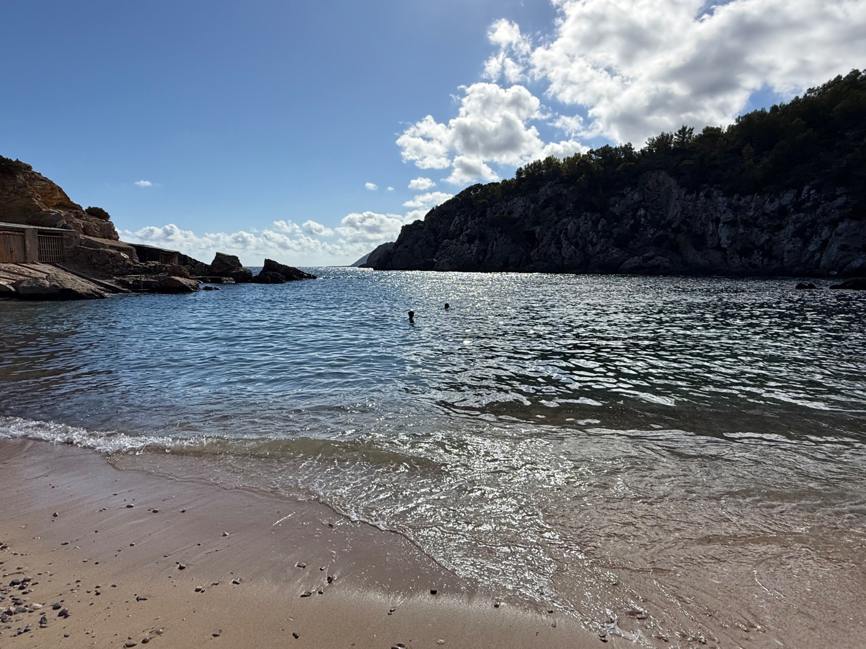 IMG_6252.jpeg