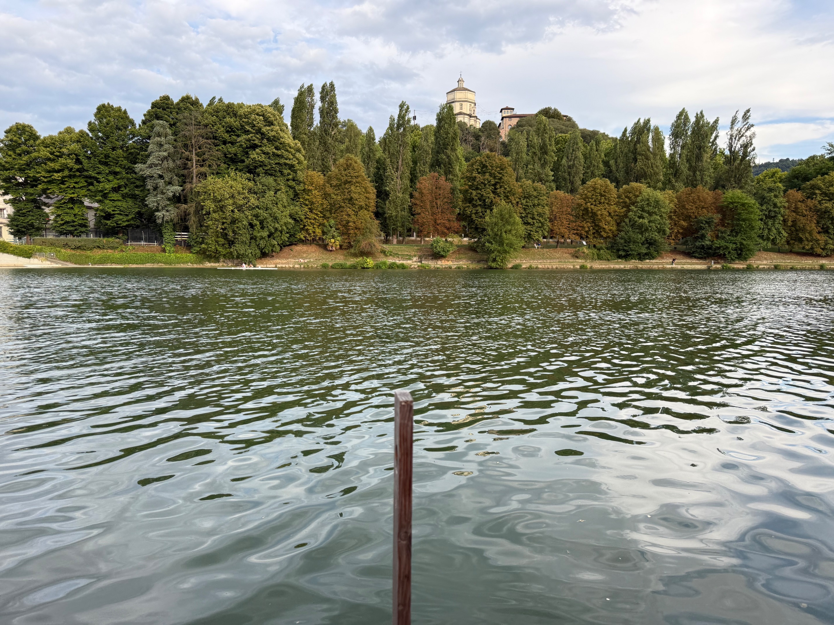 IMG_3716.jpeg