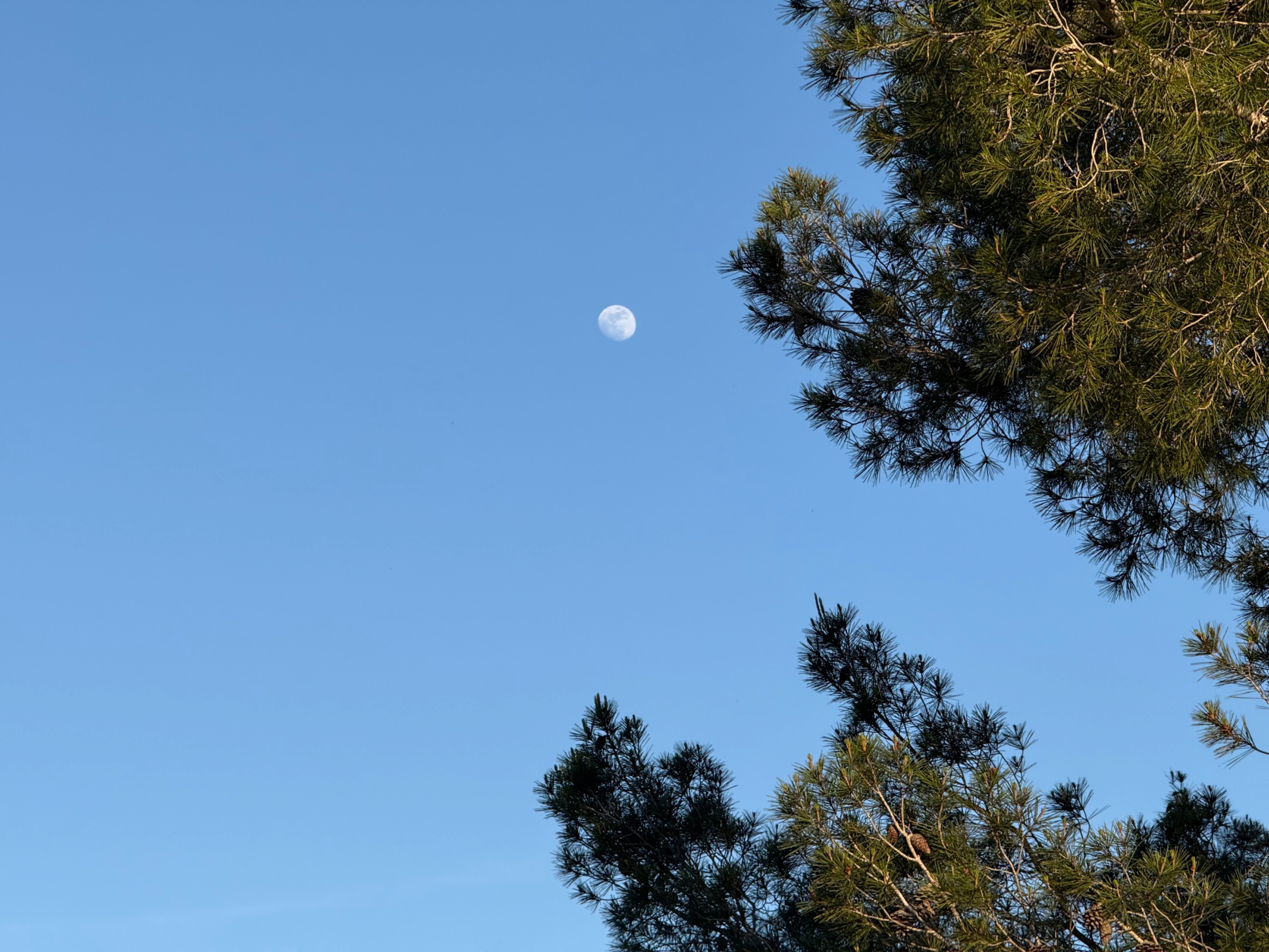 IMG_9612.jpeg