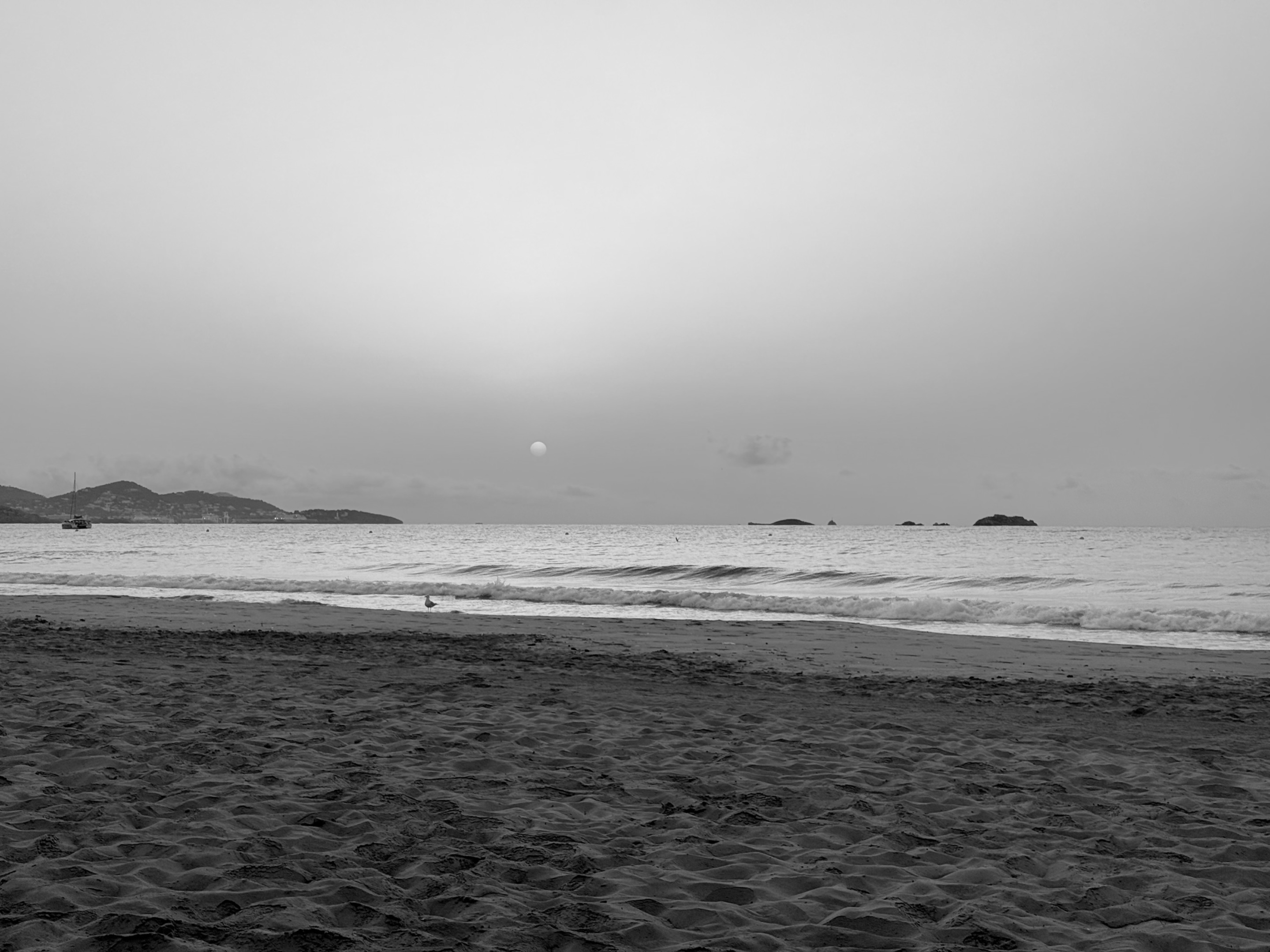 IMG_2758.jpeg