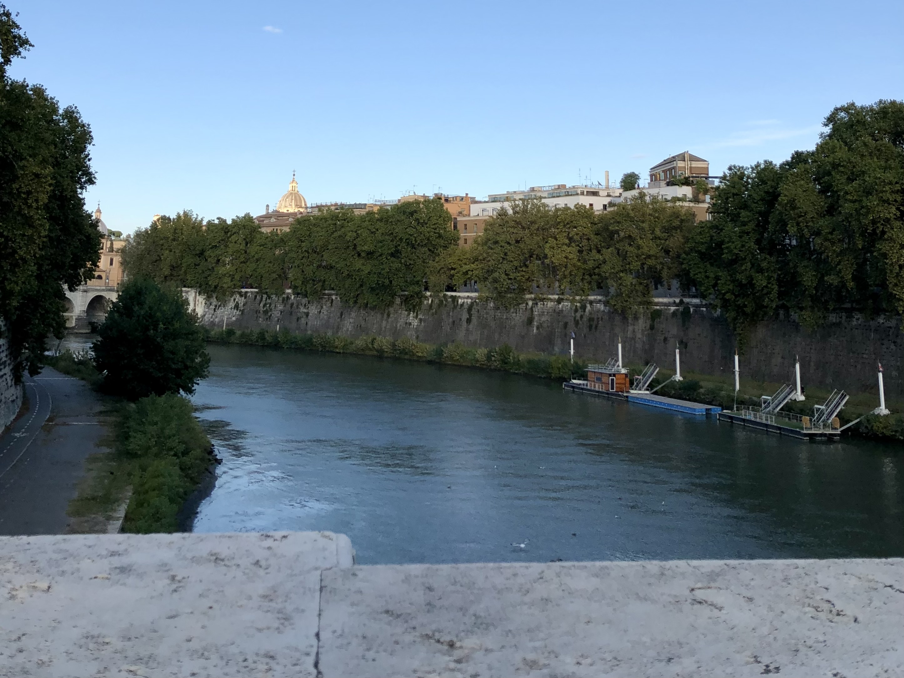 IMG_3031.jpeg