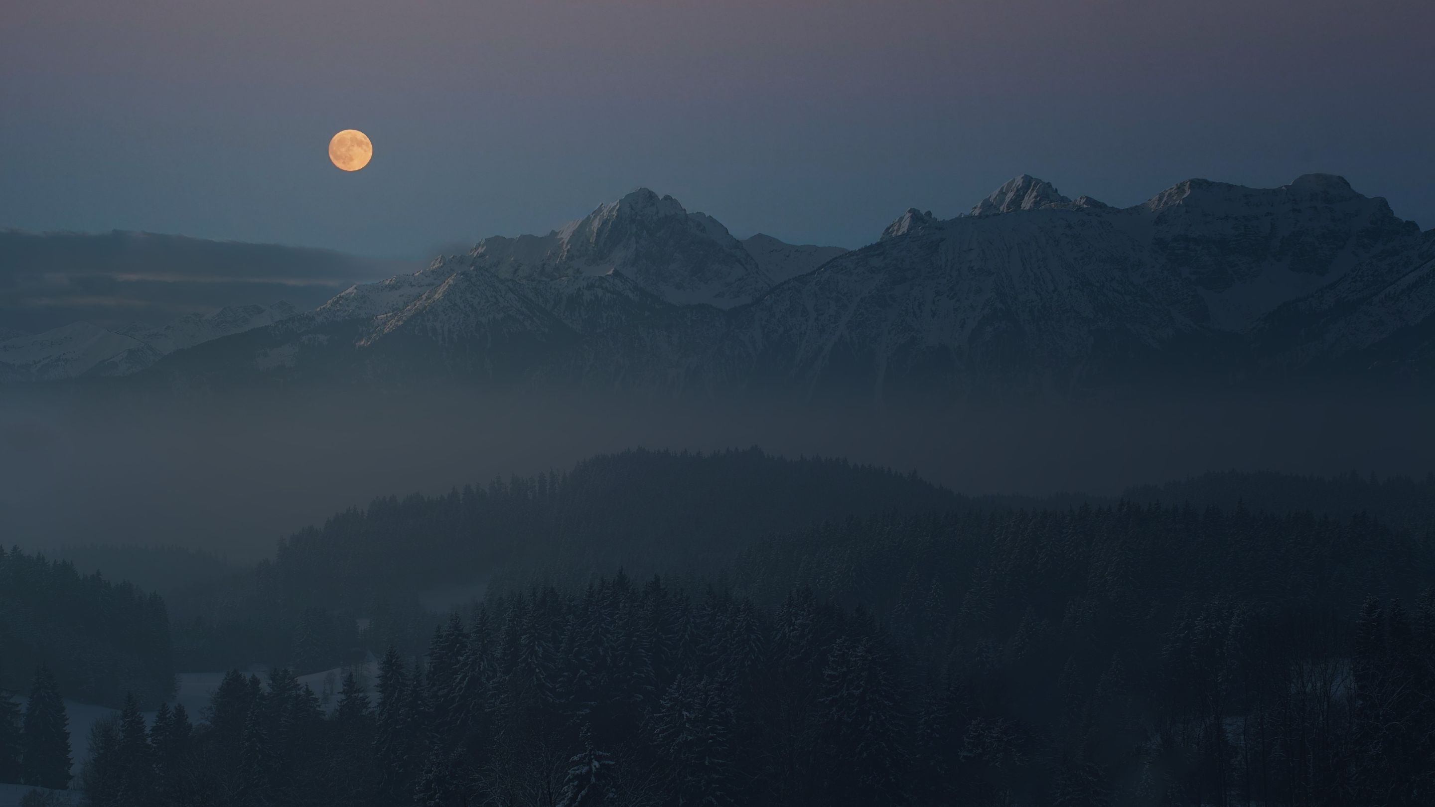 night-4702174.jpg
