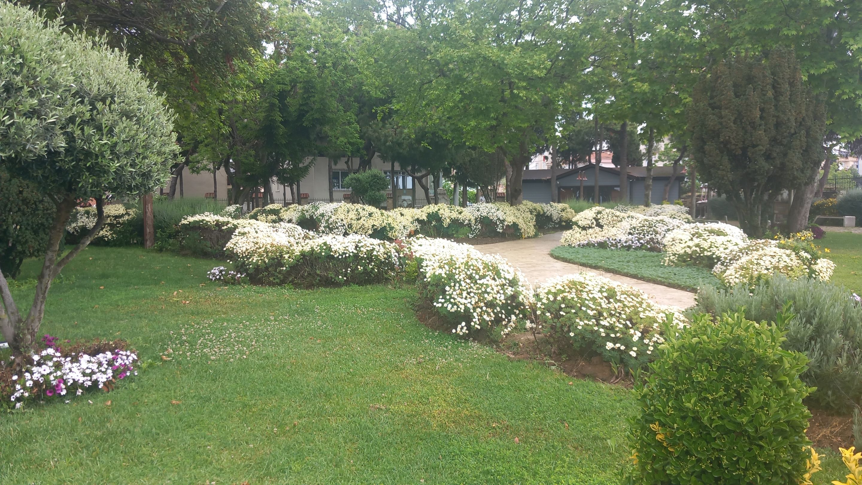 20250518_101233.jpg