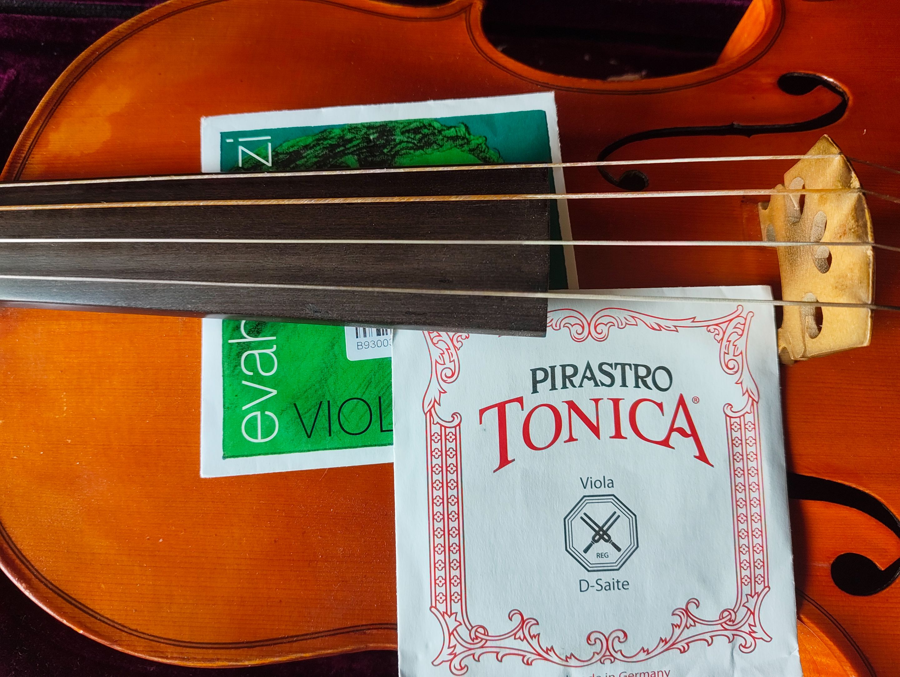 The end light is getting closer!.jpg