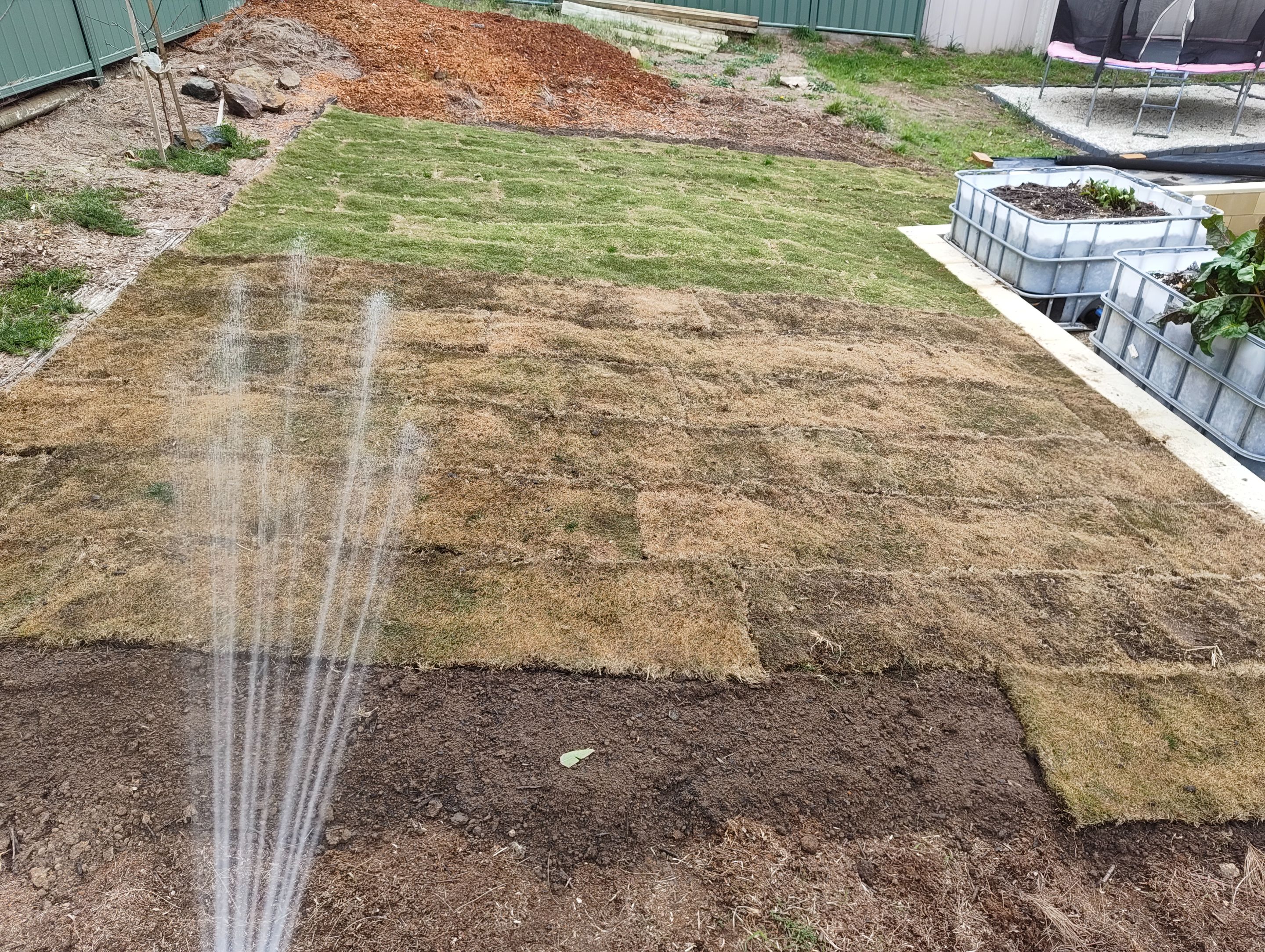 More Clearing and a New Lawn Patch.jpg