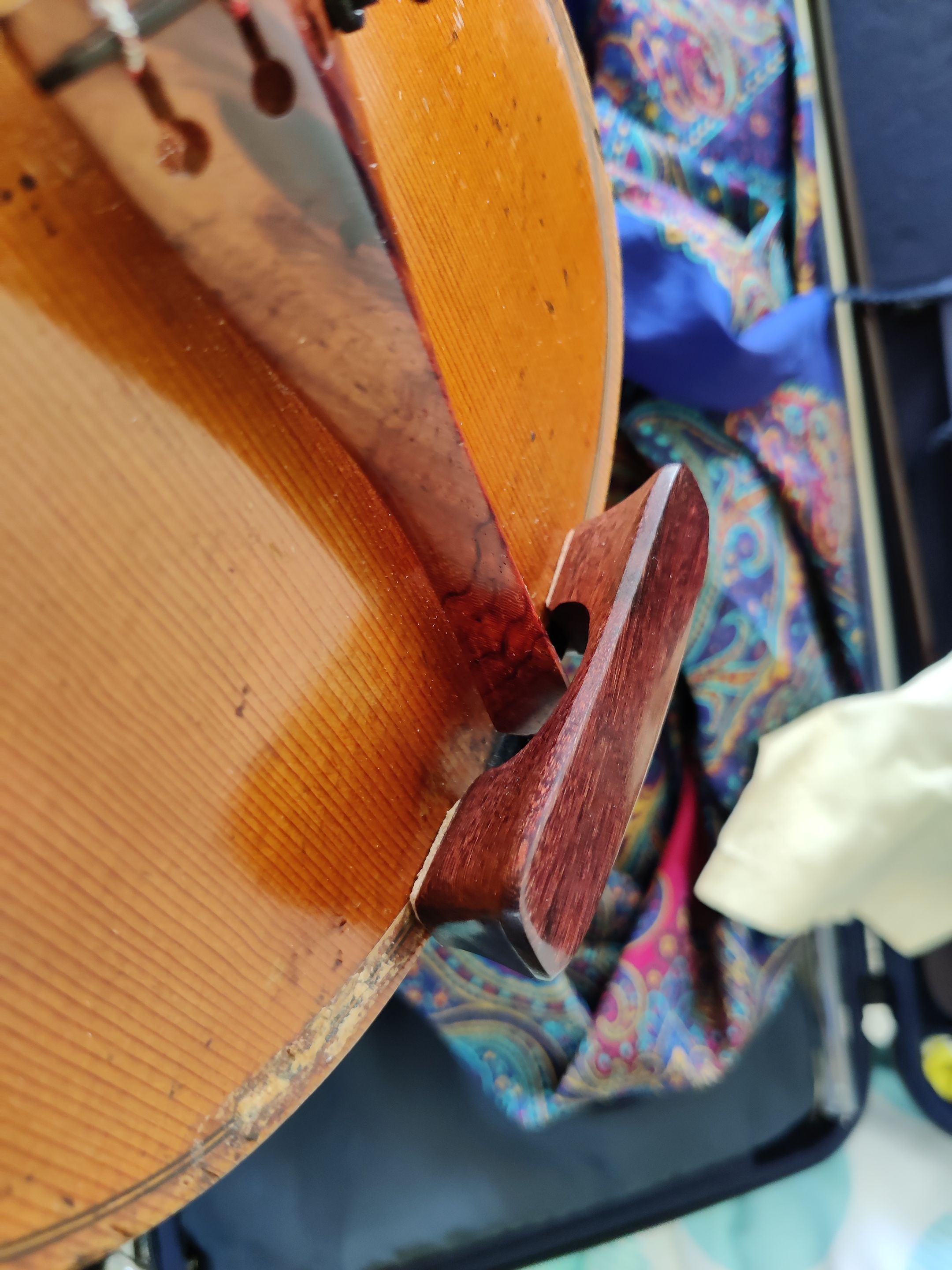 Violin