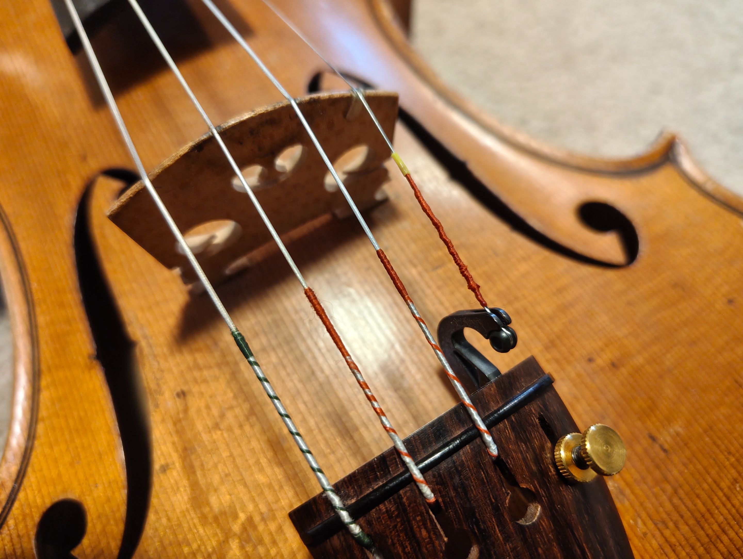 Returning back to Gut Strings.jpg