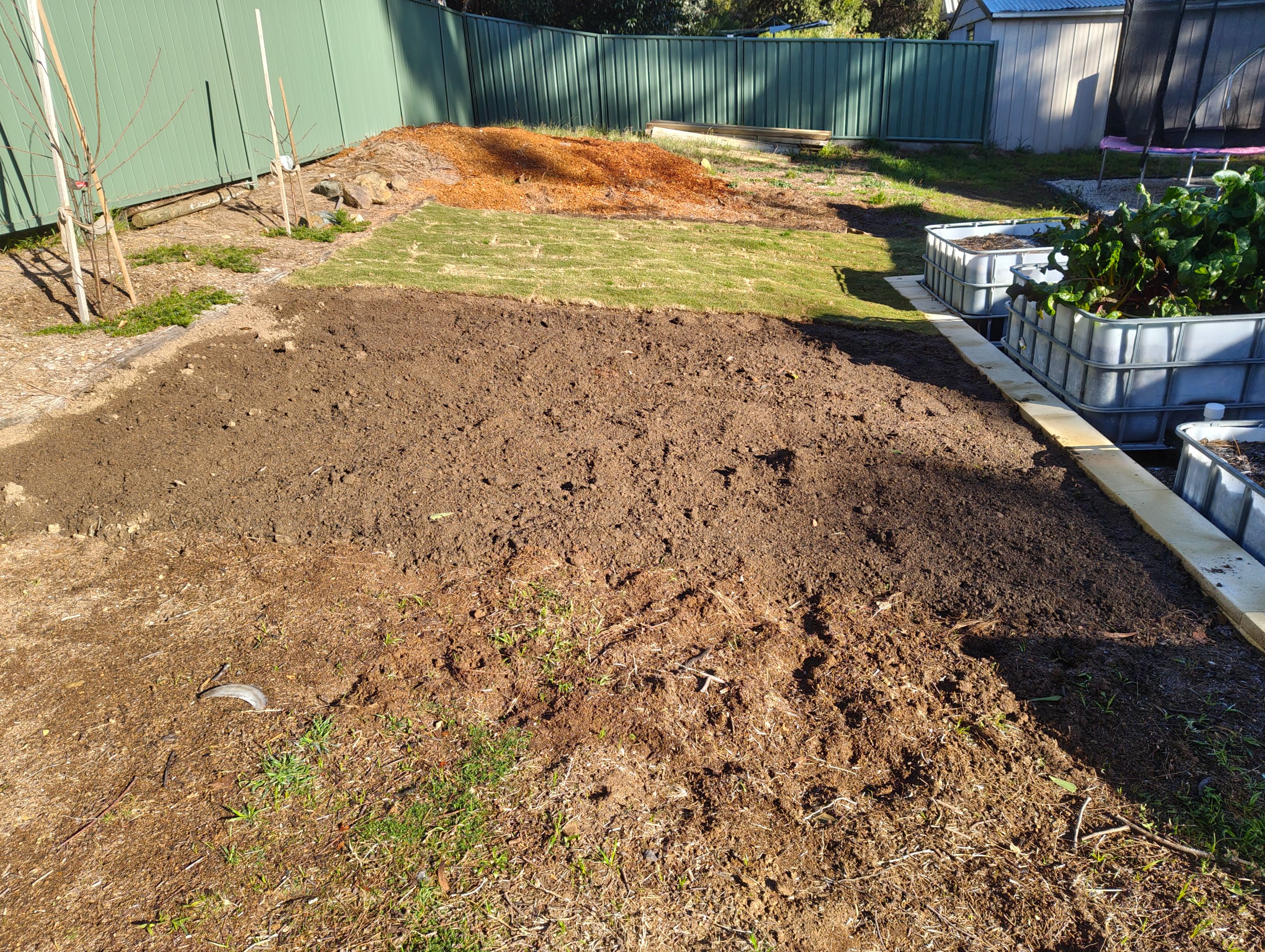 More Clearing and a New Lawn Patch.jpg